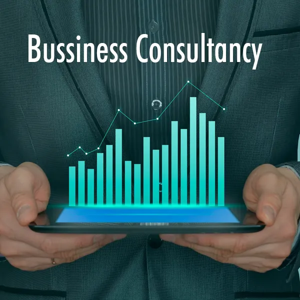 business-consultancy