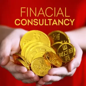 Financial consultancy