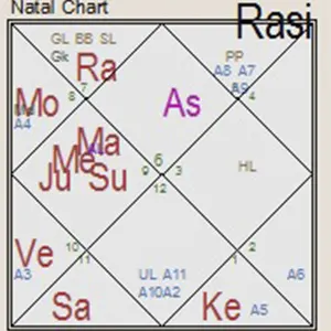 Example chart of 12 houses in astrology