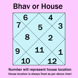 representation of sign in 12 houses in astrology