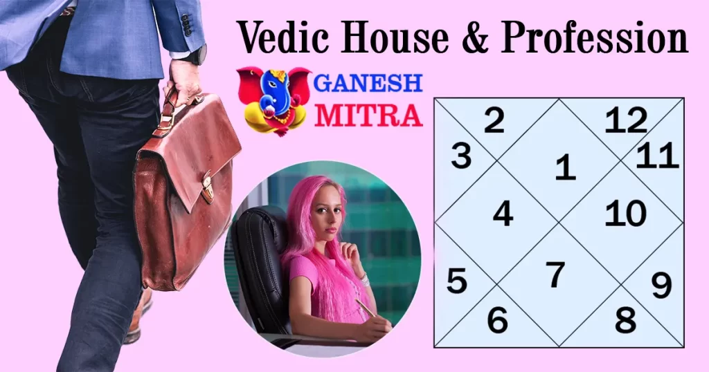 career & house in Vedic astrology