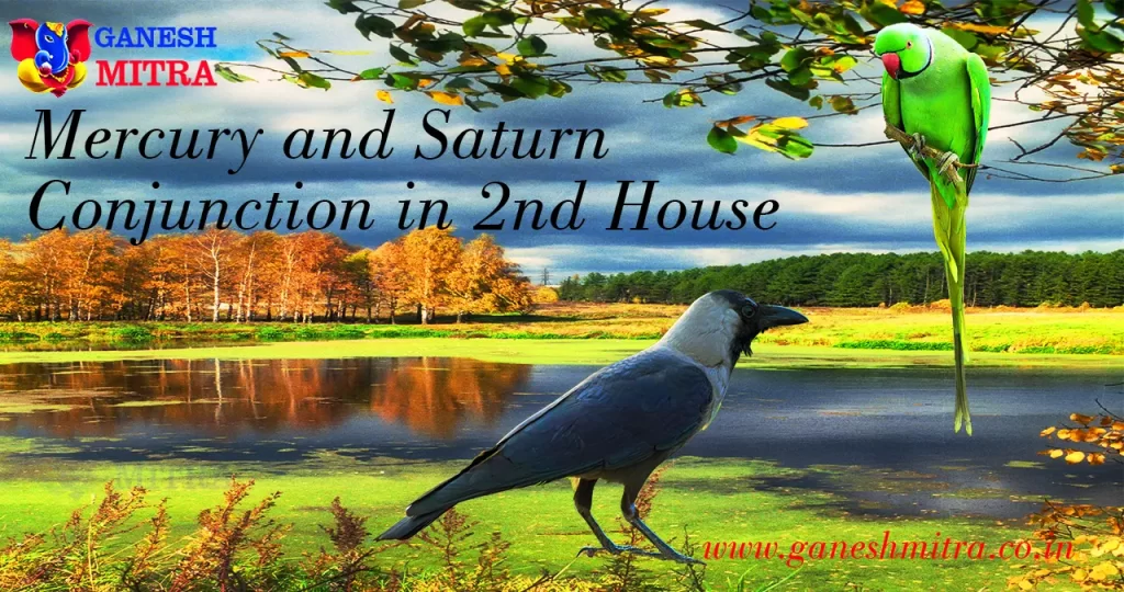 Mercury and Saturn conjunction in 2nd house